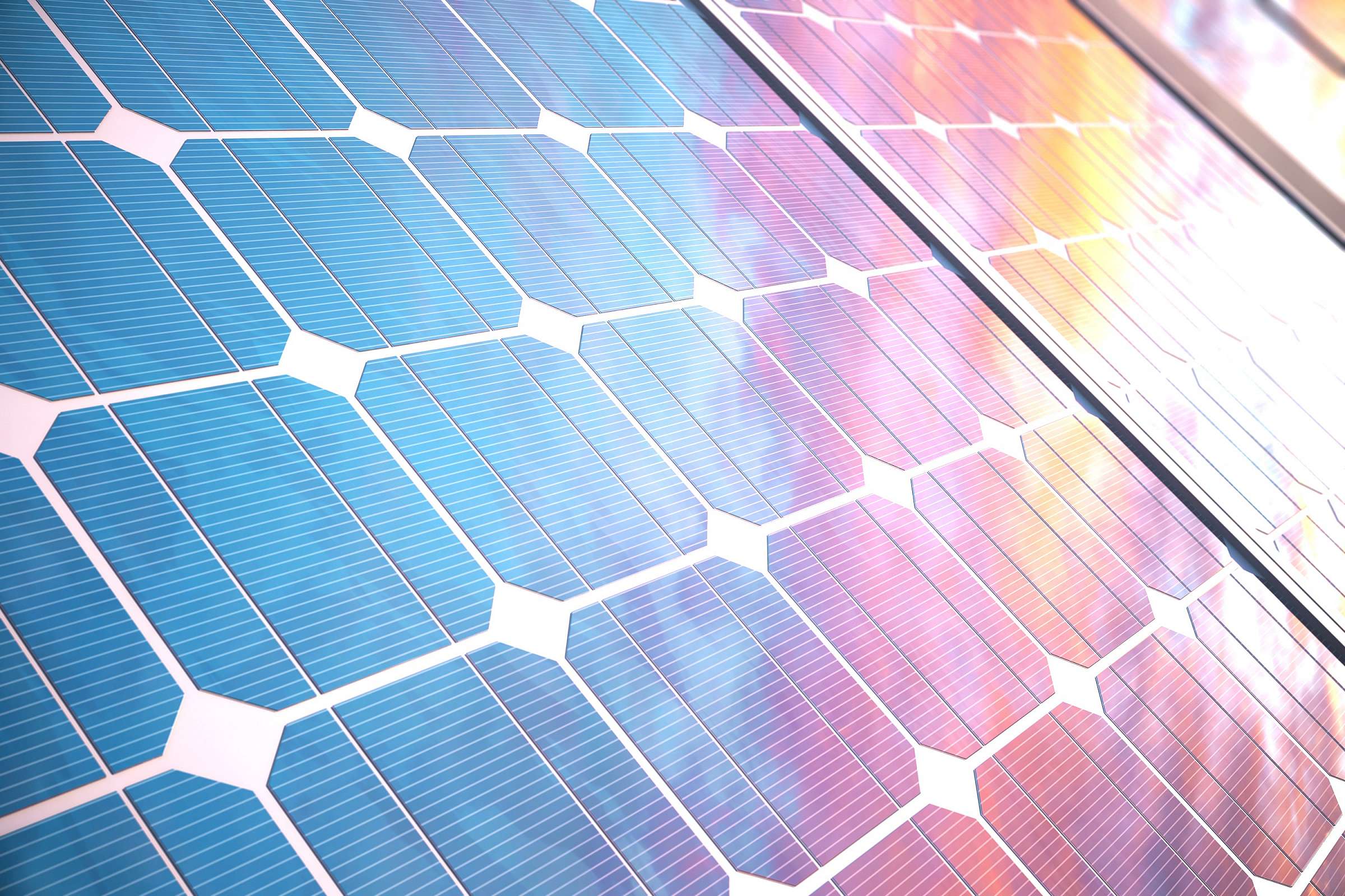 The Business Value Sustainability Brings to Companies Viewpoint