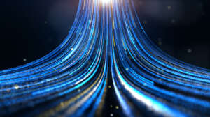 Data Management_Viewpoint Section